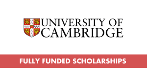 Cambridge changemaker scholarship